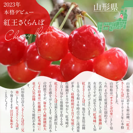 やまがた紅王 さくらんぼ通販 2Ｌ フードパック入れ 約25粒  実横径25mm