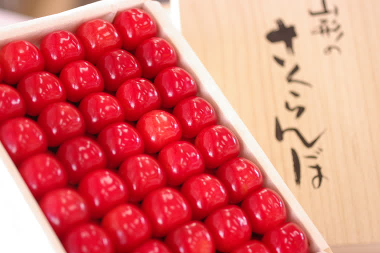 山形さくらんぼ