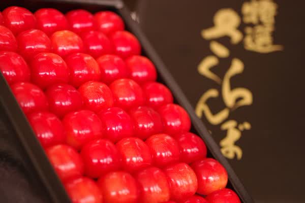 御中元を贈る時期の目安