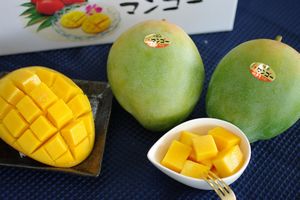 グリーンマンゴー キーツ