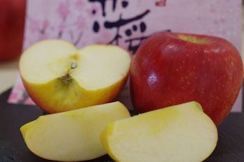 恋桜りんご 糖度14度「傷ついた恋」奥州ロマン林檎 岩手県産