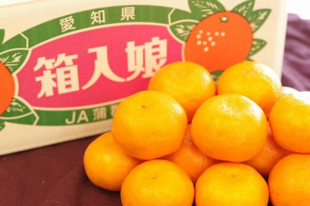 箱入娘みかん
