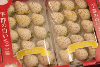 パールホワイトいちご販売 通販で白い苺お取り寄せ 約8粒 約15粒 2ｐ入 奈良県 他産地