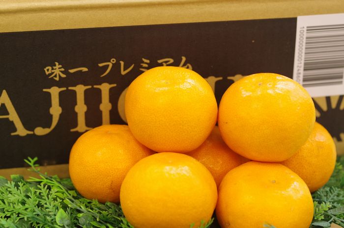 ミカン① 味一みかん プレミアム 糖度13度以上 和歌山県 5kg S〜L