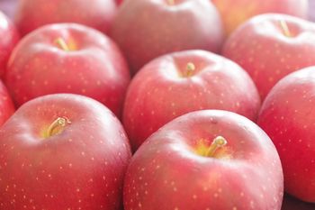 紅ロマンりんご通信販売 ＪＡ江刺オリジナの浪漫りんごを販売取寄。中